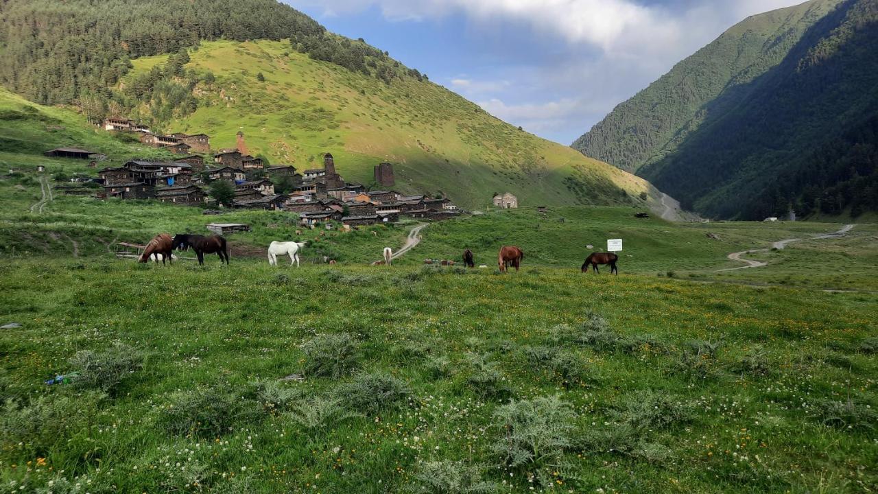 Guesthouse Pirimze Dartlo Dış mekan fotoğraf