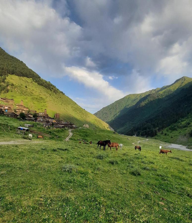 Guesthouse Pirimze Dartlo Dış mekan fotoğraf