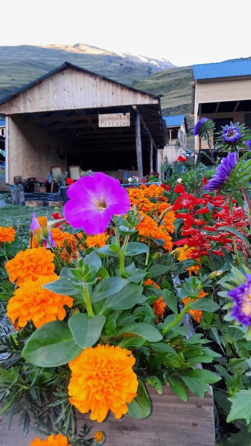 Guesthouse Pirimze Dartlo Dış mekan fotoğraf