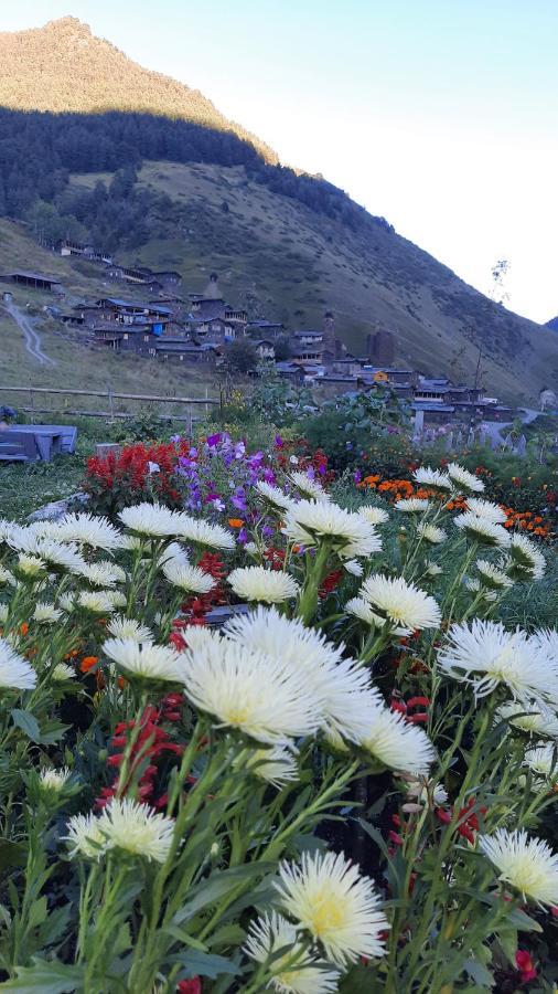 Guesthouse Pirimze Dartlo Dış mekan fotoğraf