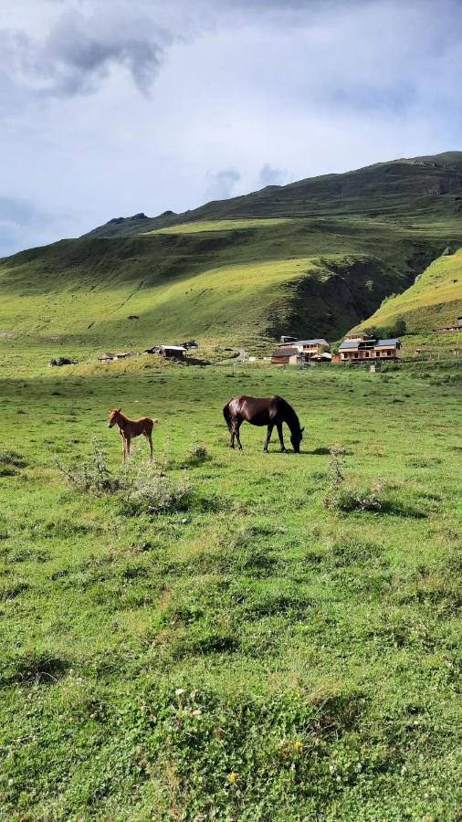 Guesthouse Pirimze Dartlo Dış mekan fotoğraf